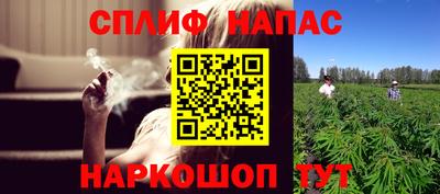 сатива Краснодар